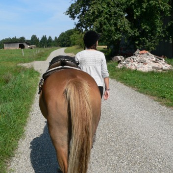 2-Tagesritt der CV-Ponyfarm 2013 - 01
