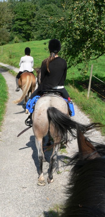 2-Tagesritt der CV-Ponyfarm 2013 - 06