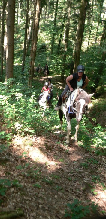 2-Tagesritt der CV-Ponyfarm 2013 - 07