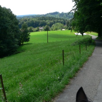 2-Tagesritt der CV-Ponyfarm 2013 - 09