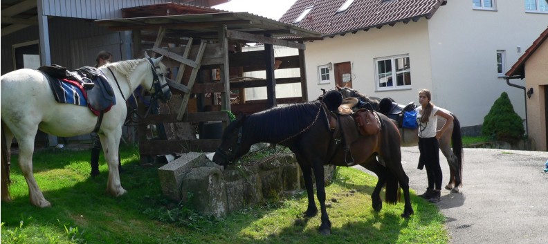 2-Tagesritt der CV-Ponyfarm 2013 - 13