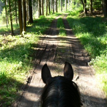 2-Tagesritt der CV-Ponyfarm 2013 - 16
