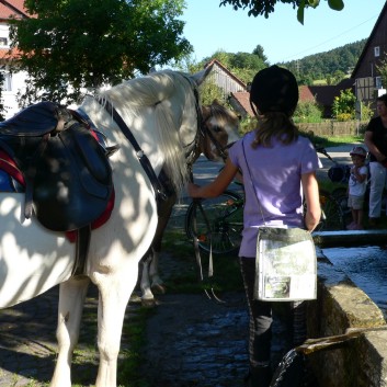 2-Tagesritt der CV-Ponyfarm 2013 - 31