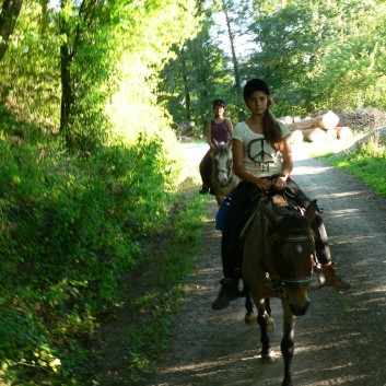 2-Tagesritt der CV-Ponyfarm 2013 - 32