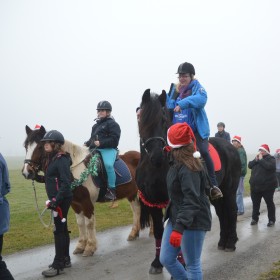Bildergalerie Weihnachtsfeier 2016 mit Ponys und Pferden 01