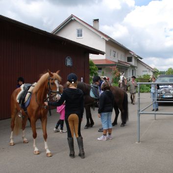 CV-Ponyfarm Gelnderallye 2010 - 03