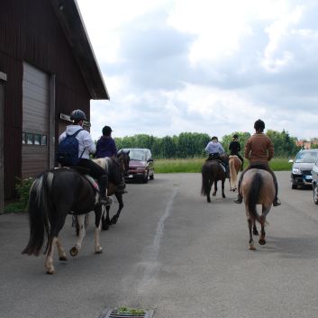 CV-Ponyfarm Gelnderallye 2010 - 05
