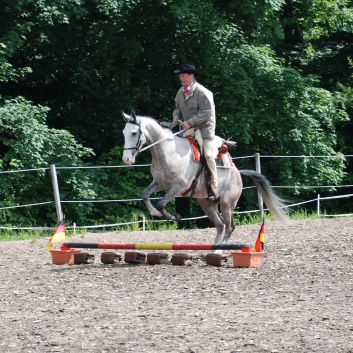 CV-Ponyfarm Gelnderallye 2010 - 06