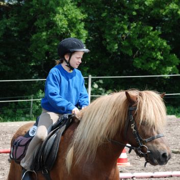 CV-Ponyfarm Gelnderallye 2010 - 07