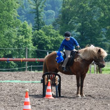 CV-Ponyfarm Gelnderallye 2010 - 08