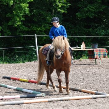 CV-Ponyfarm Gelnderallye 2010 - 09