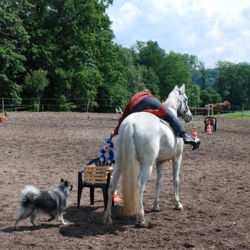 CV-Ponyfarm Gelnderallye 2010 - 10