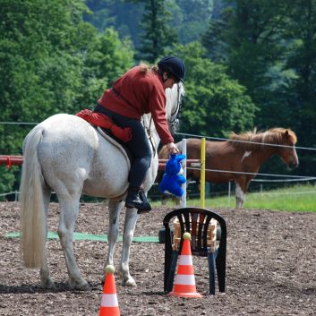 CV-Ponyfarm Gelnderallye 2010 - 11