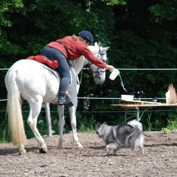 CV-Ponyfarm Gelnderallye 2010 - 12