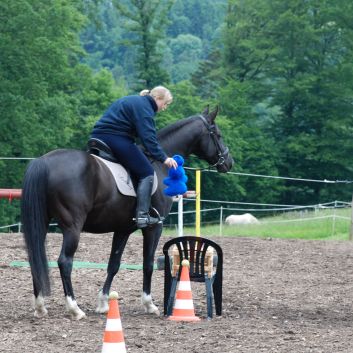 CV-Ponyfarm Gelnderallye 2010 - 14