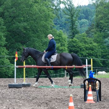 CV-Ponyfarm Gelnderallye 2010 - 15