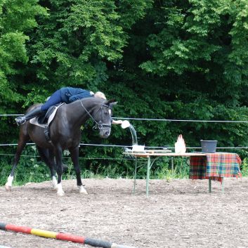 CV-Ponyfarm Gelnderallye 2010 - 16