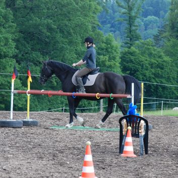 CV-Ponyfarm Gelnderallye 2010 - 17