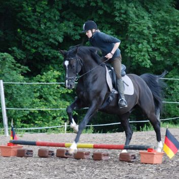 CV-Ponyfarm Gelnderallye 2010 - 18