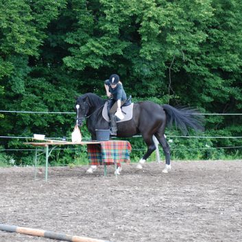 CV-Ponyfarm Gelnderallye 2010 - 19