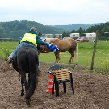CV-Ponyfarm Gelnderallye 2010 - 21