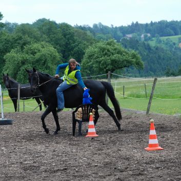 CV-Ponyfarm Gelnderallye 2010 - 22
