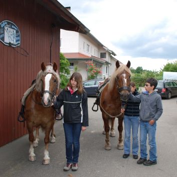CV-Ponyfarm Gelnderallye 2010 - 25