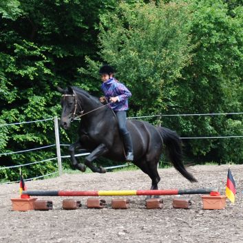 CV-Ponyfarm Gelnderallye 2010 - 27