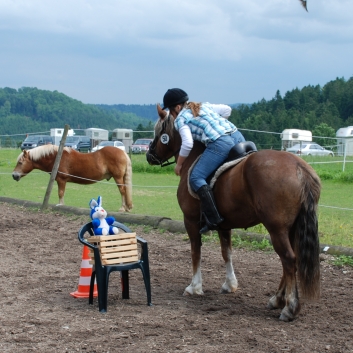 CV-Ponyfarm Gelnderallye 2010 - 28