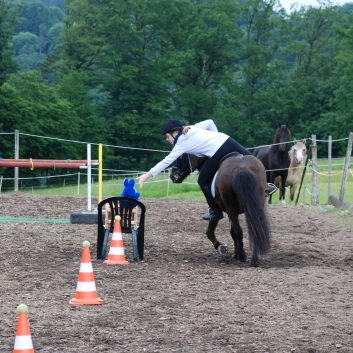 CV-Ponyfarm Gelnderallye 2010 - 31