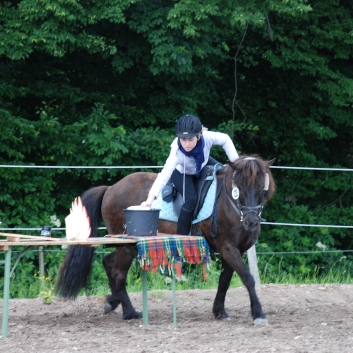 CV-Ponyfarm Gelnderallye 2010 - 32