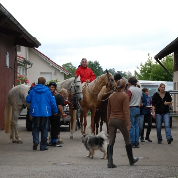 CV-Ponyfarm Gelnderallye 2010 - 34