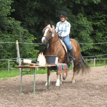 CV-Ponyfarm Gelnderallye 2010 - 38