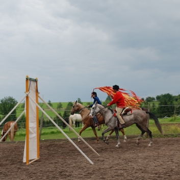 CV-Ponyfarm Showprogramm 2010 - 01