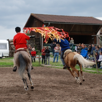 CV-Ponyfarm Showprogramm 2010 - 02