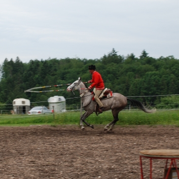 CV-Ponyfarm Showprogramm 2010 - 03
