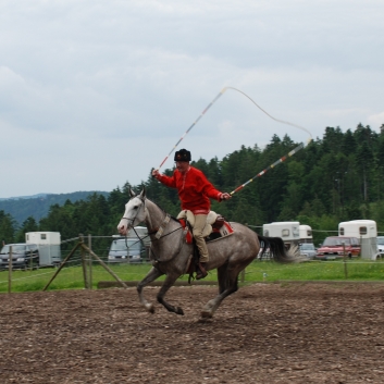 CV-Ponyfarm Showprogramm 2010 - 04