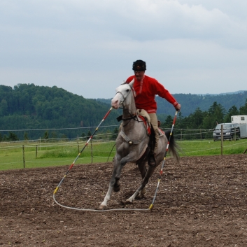 CV-Ponyfarm Showprogramm 2010 - 05