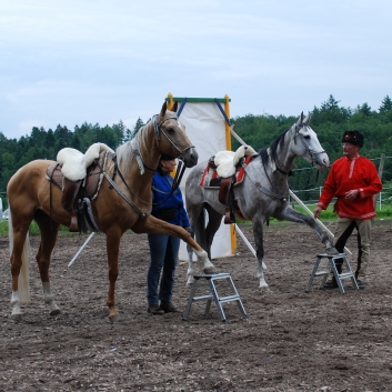 CV-Ponyfarm Showprogramm 2010 - 09