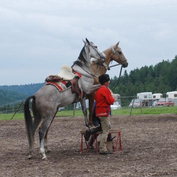 CV-Ponyfarm Showprogramm 2010 - 10