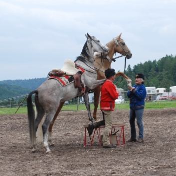 CV-Ponyfarm Showprogramm 2010 - 11