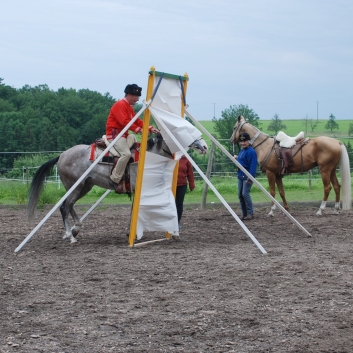 CV-Ponyfarm Showprogramm 2010 - 12