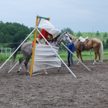 CV-Ponyfarm Showprogramm 2010 - 13