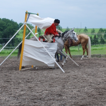 CV-Ponyfarm Showprogramm 2010 - 14