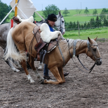 CV-Ponyfarm Showprogramm 2010 - 15
