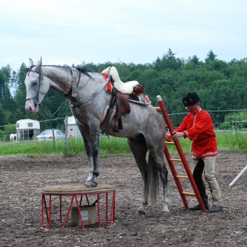 CV-Ponyfarm Showprogramm 2010 - 17