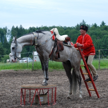 CV-Ponyfarm Showprogramm 2010 - 18