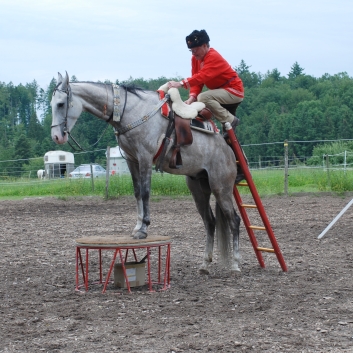 CV-Ponyfarm Showprogramm 2010 - 20