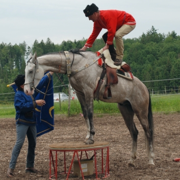 CV-Ponyfarm Showprogramm 2010 - 21