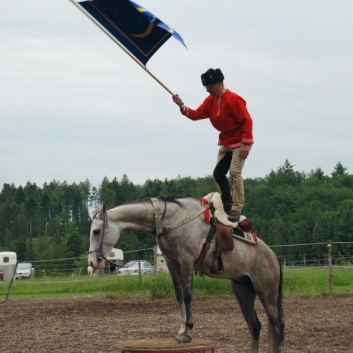 CV-Ponyfarm Showprogramm 2010 - 22